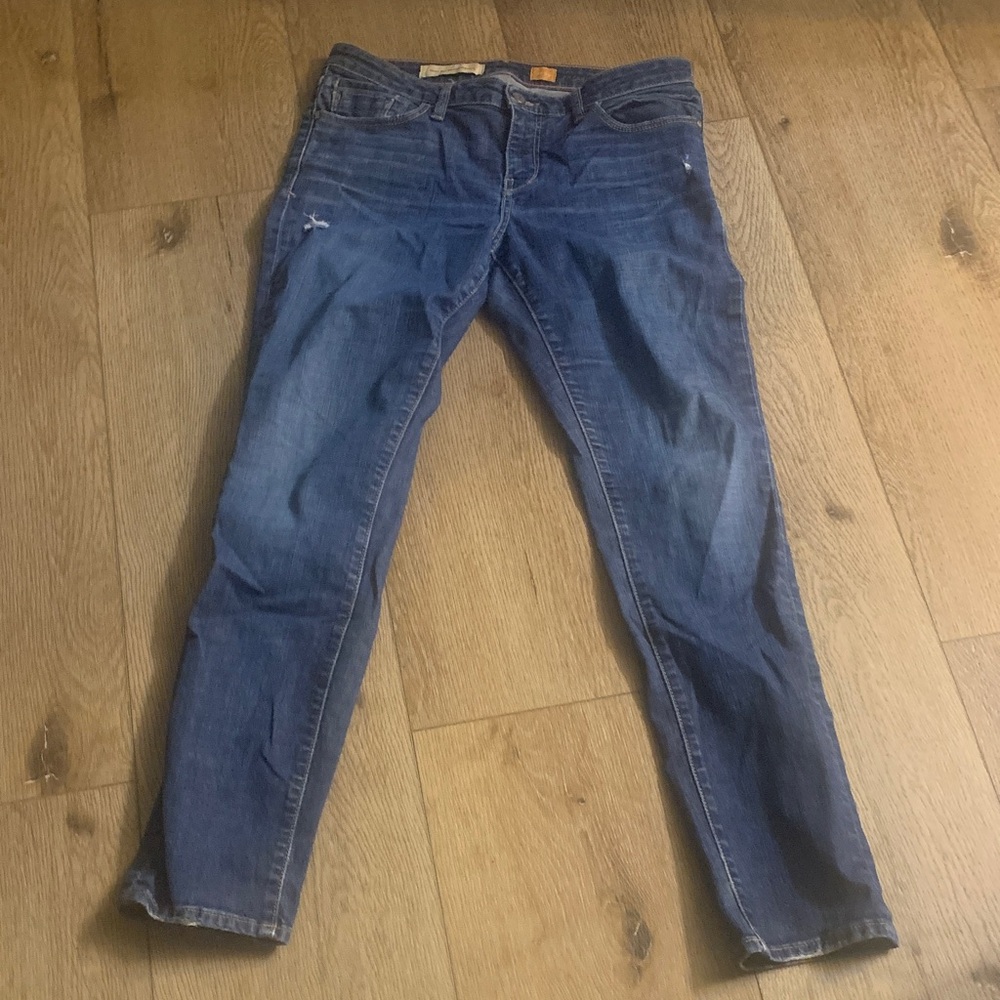 Pilcro and the Letterpress Deep Blue Skinny Jeans